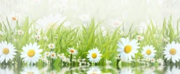 Spring HVAC Offers from EMCO Tech - March AC Maintenance Checklist