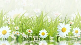 Spring HVAC Offers from EMCO Tech - March AC Maintenance Checklist