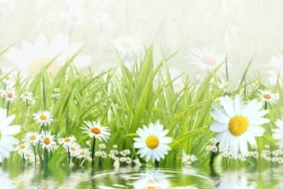 Spring HVAC Offers from EMCO Tech - March AC Maintenance Checklist
