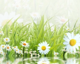 Spring HVAC Offers from EMCO Tech - March AC Maintenance Checklist