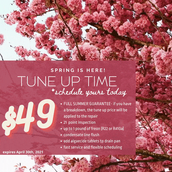 Spring AC Tune up offer