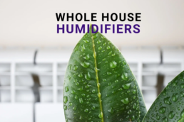 Whole House Steam Humidifier and Bypass Water Humidifiers