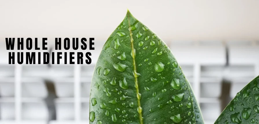 Whole House Steam Humidifiers and Bypass Water Humidifiers