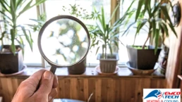 Indoor Air Quality - Checking Through Magnifying Glass