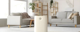 Room Air Purifier Inside Home - Ultimate Guide to Air Purifiers for a Healthier Home