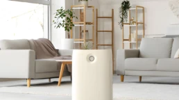 Room Air Purifier Inside Home - Ultimate Guide to Air Purifiers for a Healthier Home