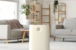 Room Air Purifier Inside Home - Ultimate Guide to Air Purifiers for a Healthier Home