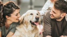 Happy Family at home- Family enjoying their comfortable home in Philadelphia with their dog after gas furnace repair by EMCO Tech